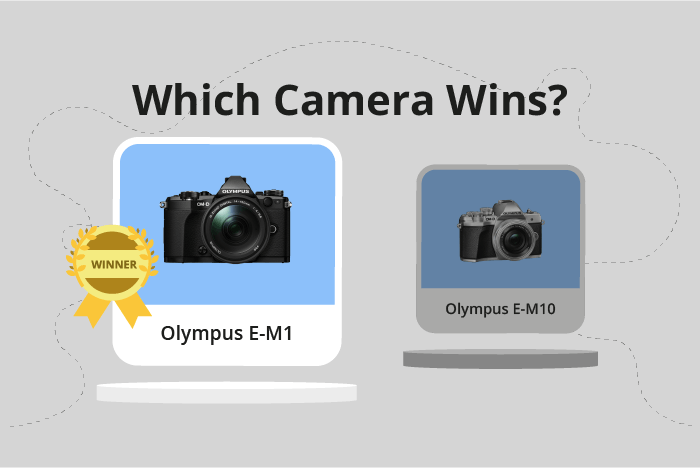 Olympus OM-D E-M1 vs OM-D E-M10 Comparison image.