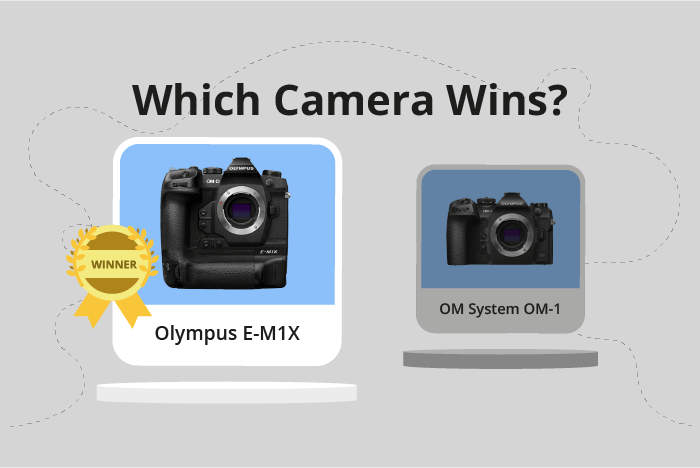 Olympus OM-D E-M1X vs OM System OM-1 Comparison image.