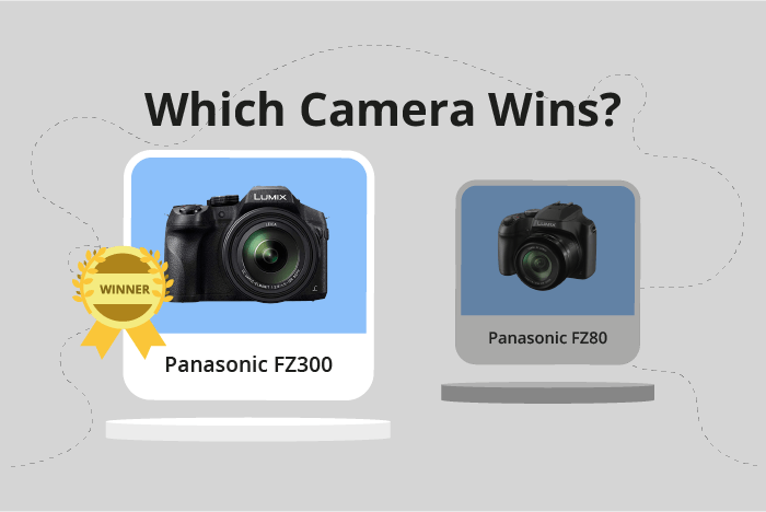 Panasonic Lumix FZ300 / FZ330 vs Lumix FZ80 / FZ82 Comparison image.