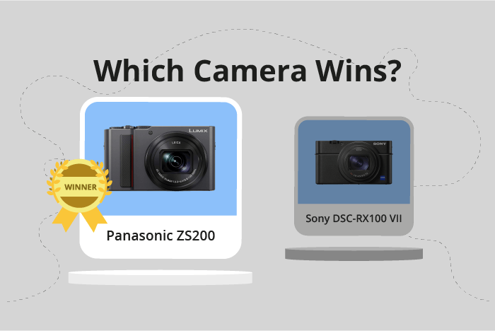 Panasonic Lumix ZS200 (TZ200) vs Sony Cyber-shot DSC-RX100 VII Comparison image.