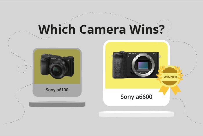 Sony a6100 vs a6600 Comparison image.