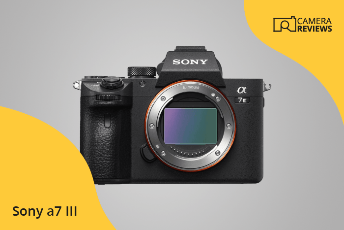 Sony a7 III photographed on a colored background