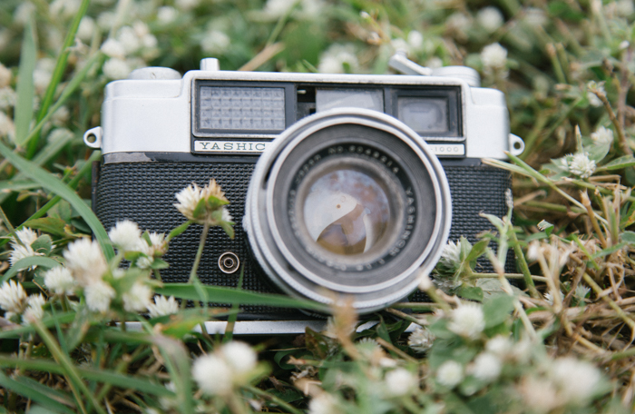 a Yashica camera gently placed in a field of grass and small white flowers