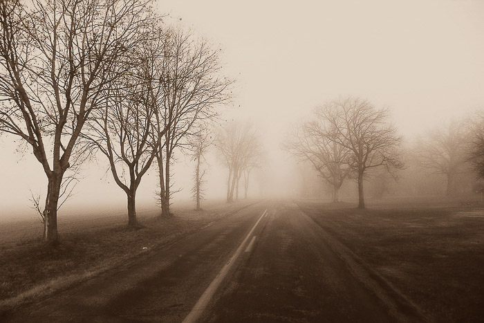 A foggy landscape and road